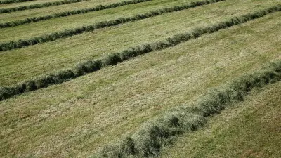 hau and silage picture